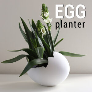 Egg Planter